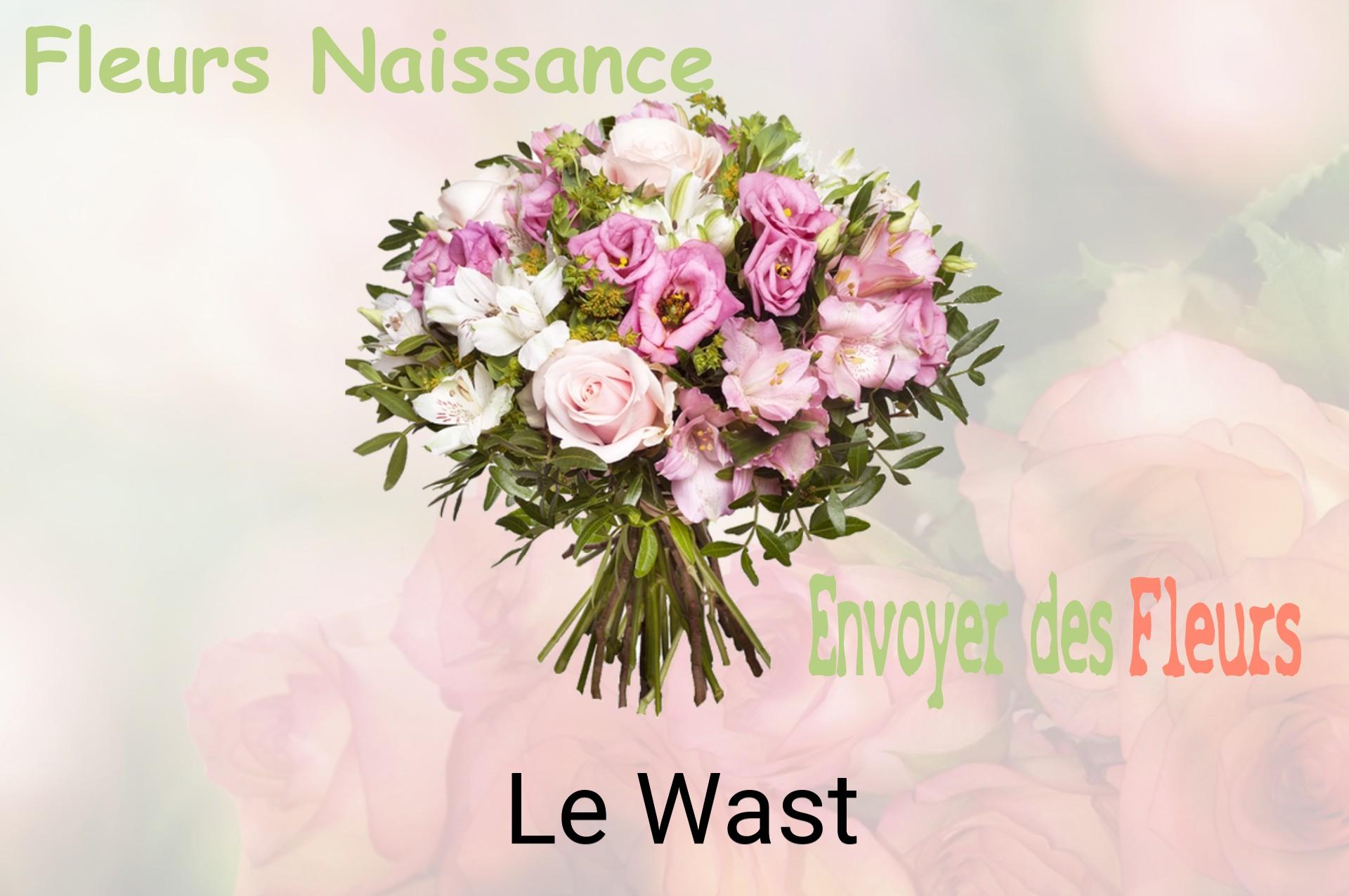 Bouquet de fleurs de naissance livré à Le Wast